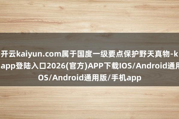 开云kaiyun.com属于国度一级要点保护野天真物-kai云体育网页app登陆入口2026(官方)APP下载IOS/Android通用版/手机app